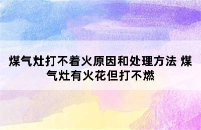 煤气灶打不着火原因和处理方法 煤气灶有火花但打不燃